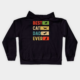 Best Cat Dad Ever Birthday Cool Daddy Cat Lover Kids Hoodie